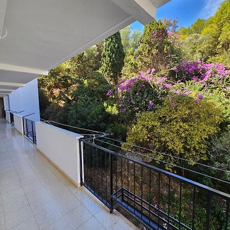 Apartamento Florido 托雷莫利诺斯 外观 照片