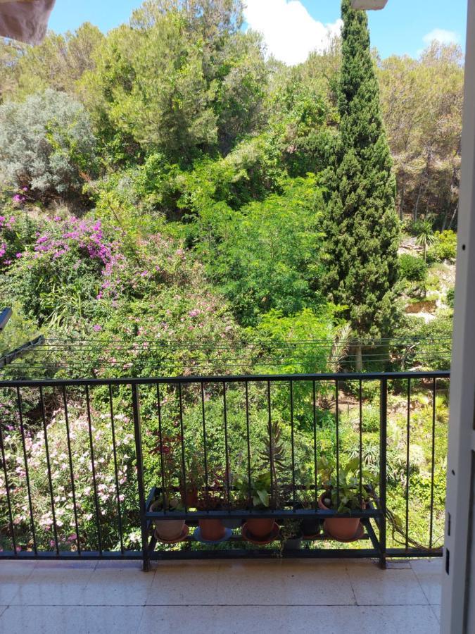 Apartamento Florido 托雷莫利诺斯 外观 照片