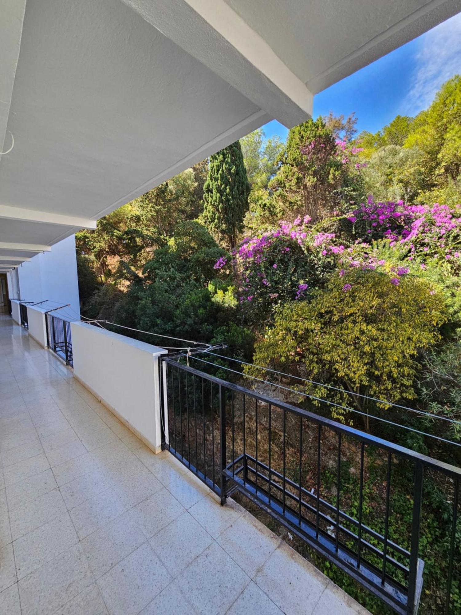 Apartamento Florido 托雷莫利诺斯 外观 照片